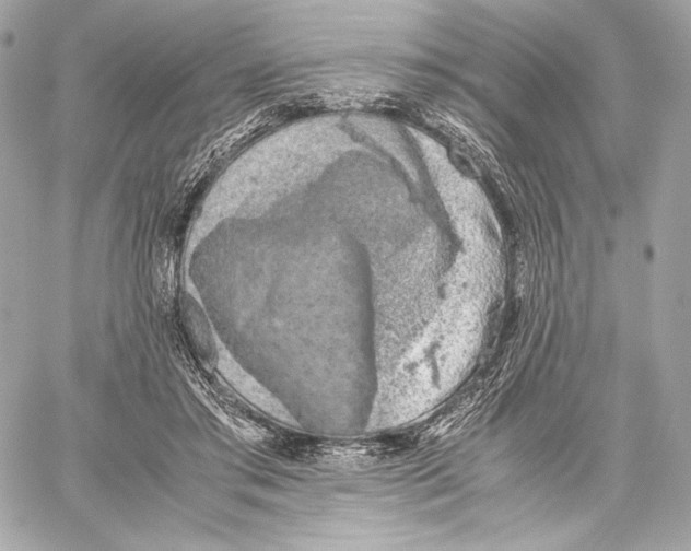 X0000059800405200511111606