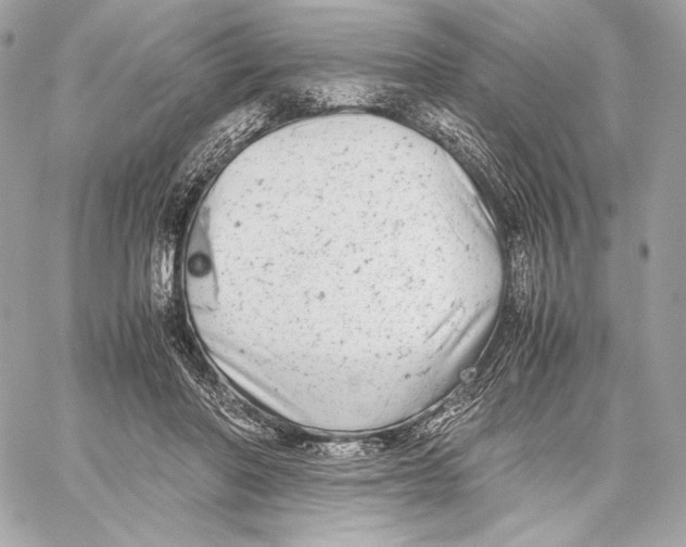 X0000059800406200511111606