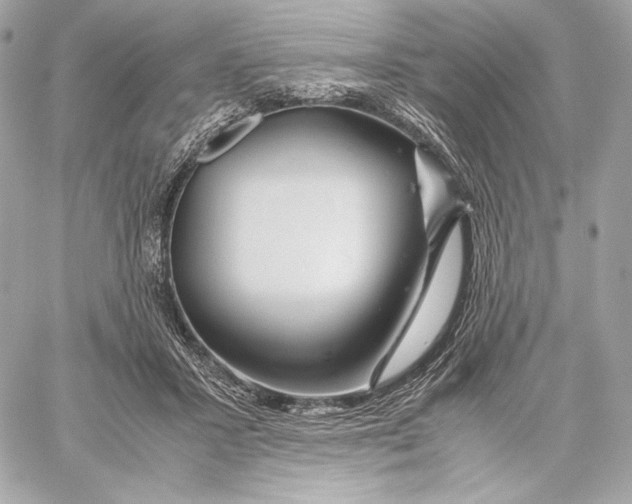 X0000059800407200511111606