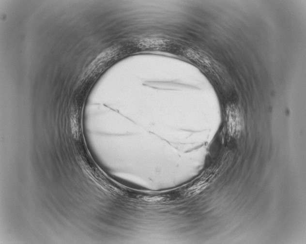 X0000059800408200511111606