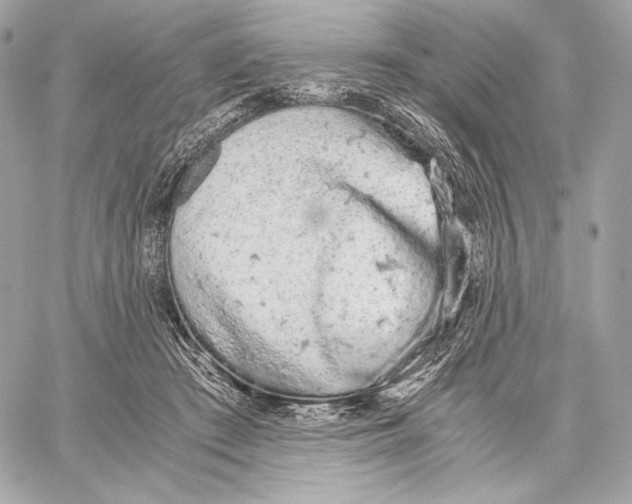 X0000059800409200511111606