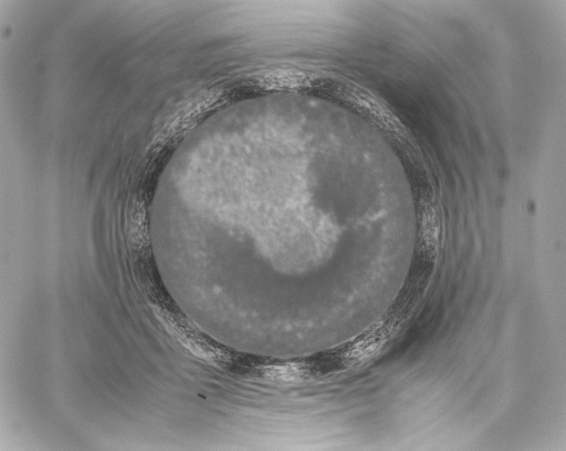 X0000059800411200511111606