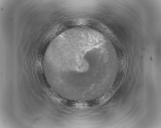 X0000059800415200511111606