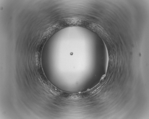 X0000059800416200511111606