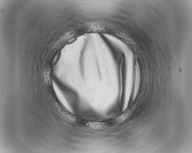 X0000059800417200511111606