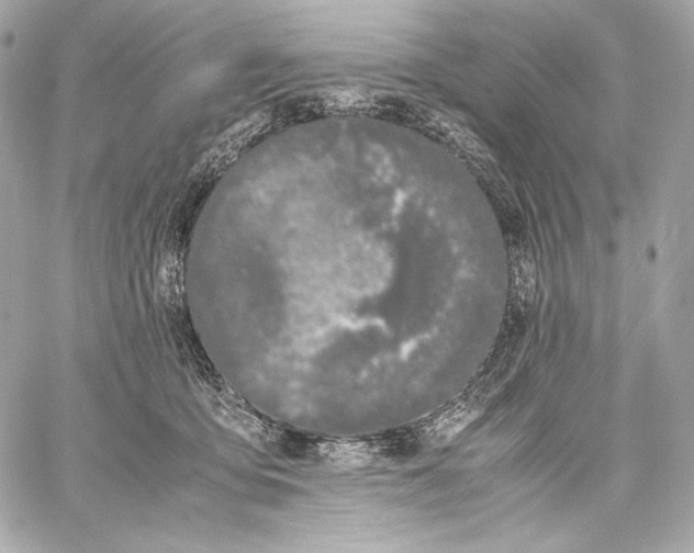 X0000059800419200511111606