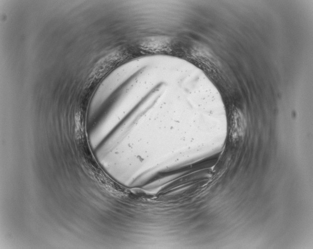 X0000059800420200511111606