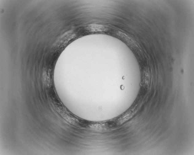 X0000059800422200511111606