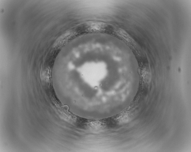 X0000059800423200511111606