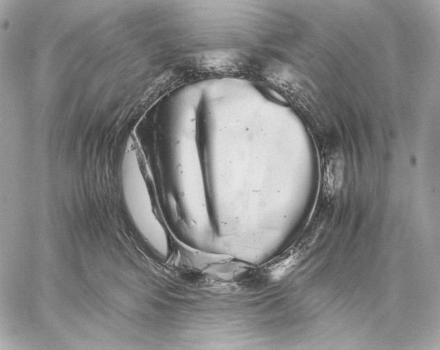 X0000059800424200511111606