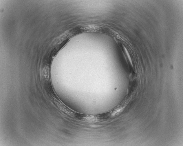 X0000059800425200511111606