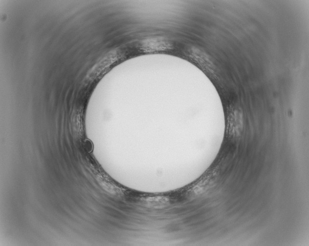 X0000059800426200511111606