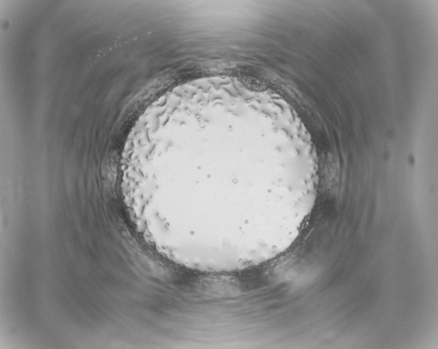 X0000059800427200511111606