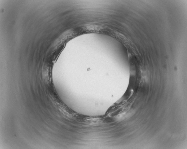 X0000059800428200511111606