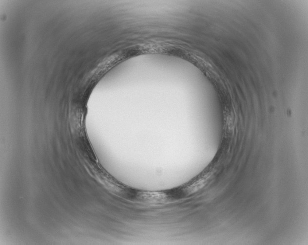 X0000059800429200511111606