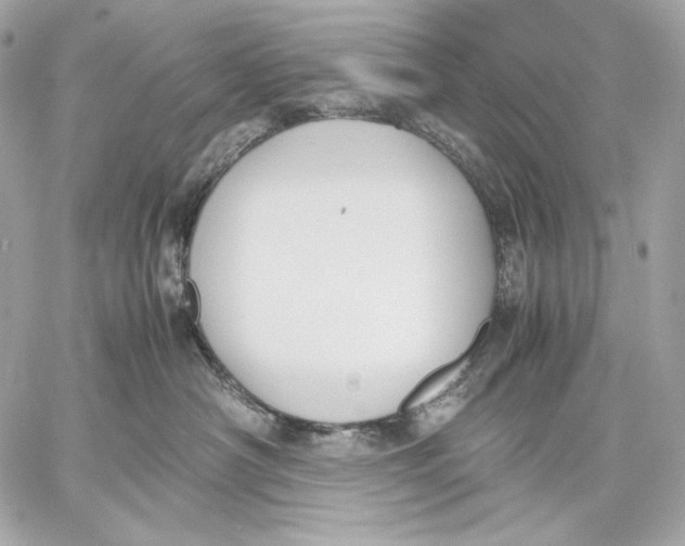 X0000059800430200511111606