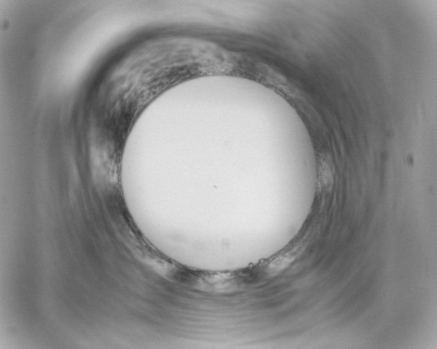 X0000059800431200511111606