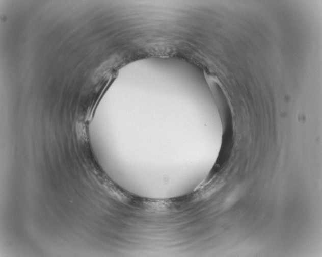 X0000059800432200511111606