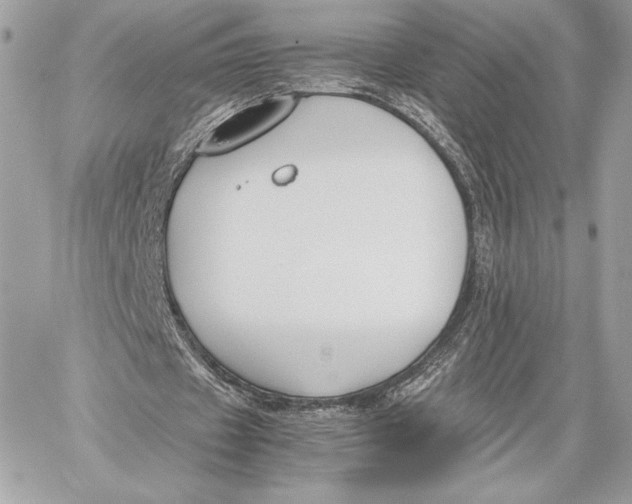 X0000059800433200511111605