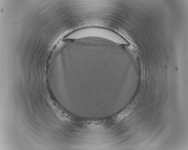 X0000059800434200511111605