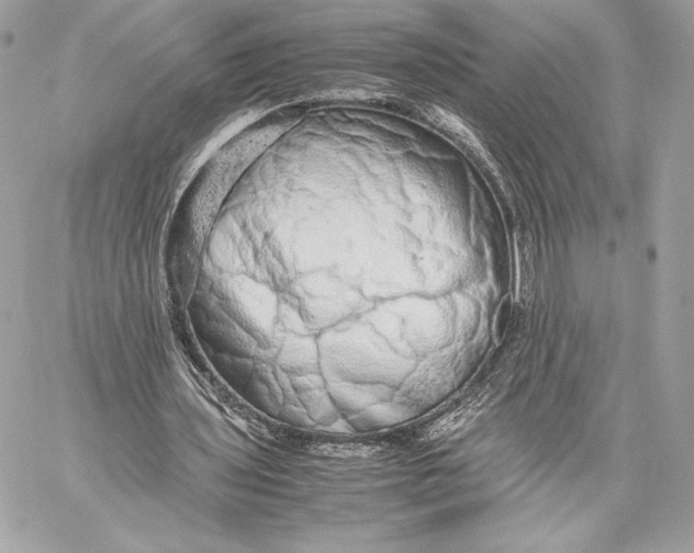 X0000059800435200511111605