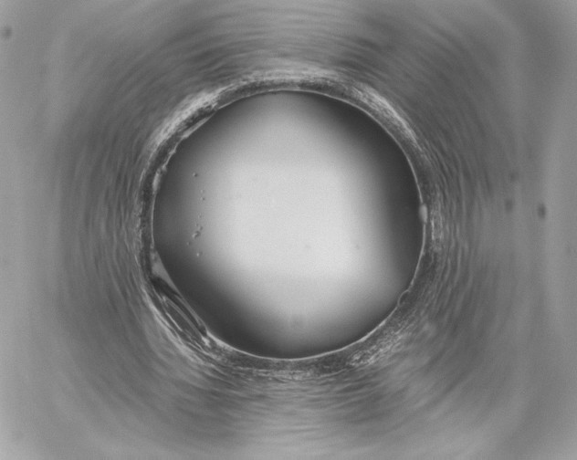 X0000059800436200511111605