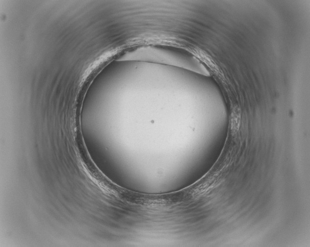 X0000059800438200511111605