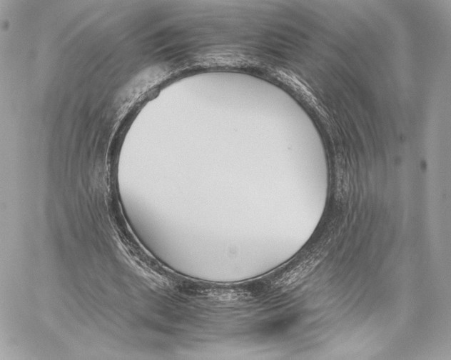 X0000059800439200511111605