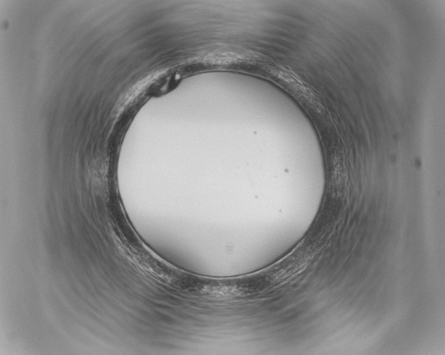 X0000059800440200511111605