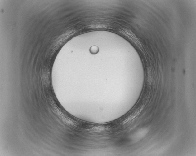 X0000059800441200511111605