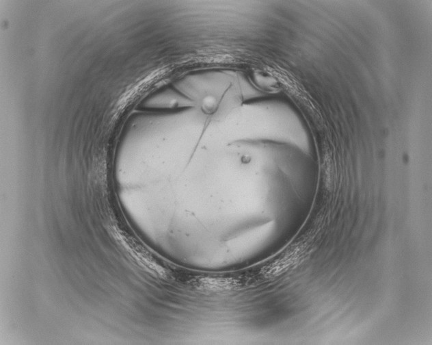 X0000059800442200511111605