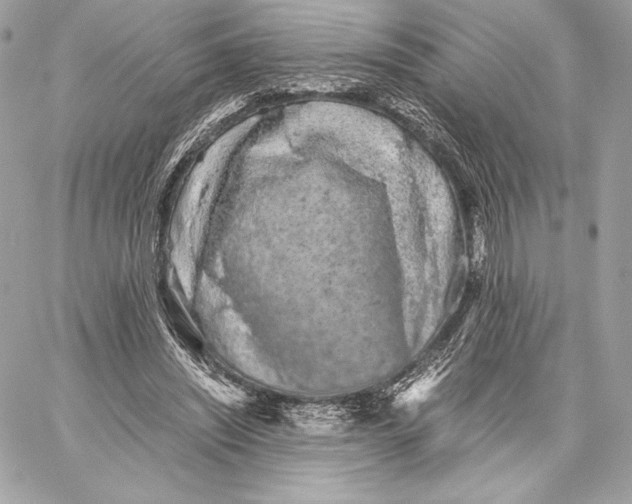 X0000059800444200511111605