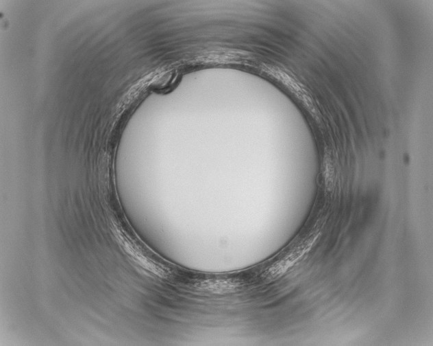 X0000059800445200511111605