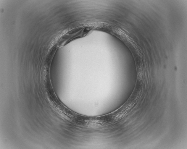 X0000059800448200511111605