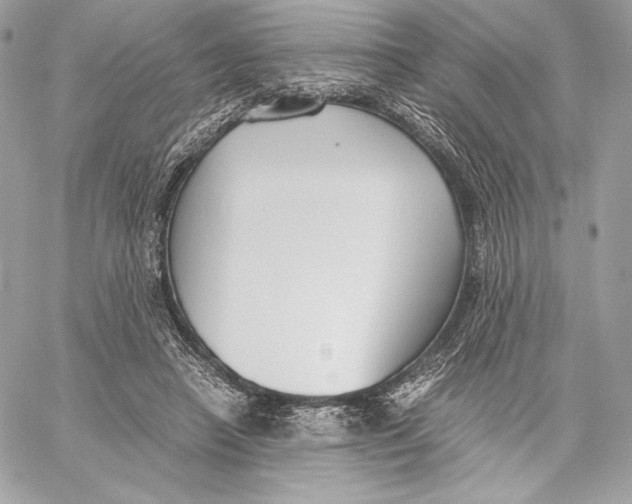 X0000059800450200511111605