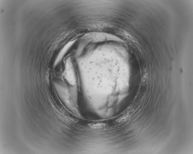 X0000059800452200511111605