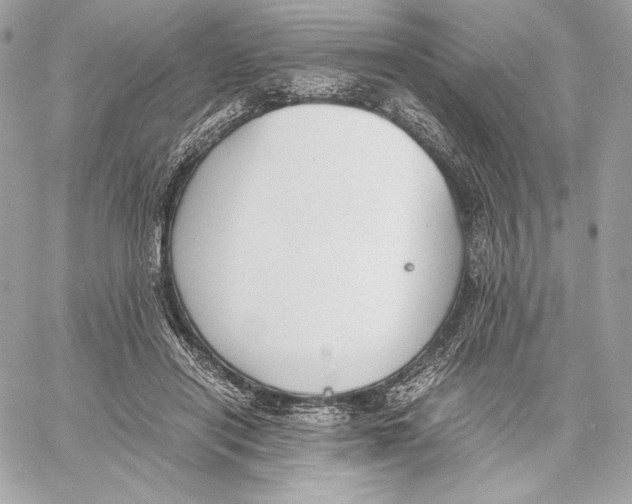 X0000059800454200511111605