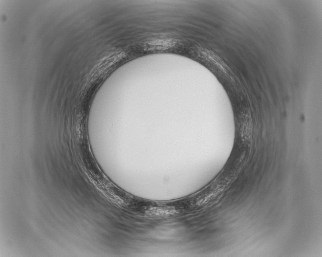 X0000059800455200511111605