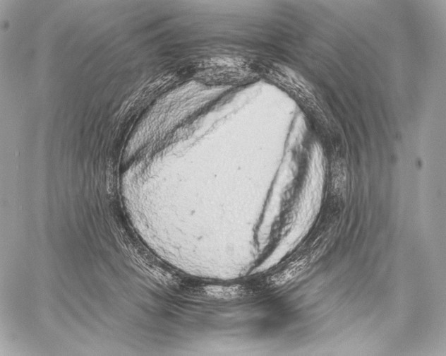 X0000059800457200511111605