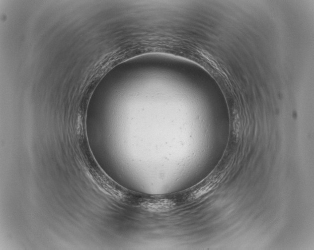 X0000059800459200511111605