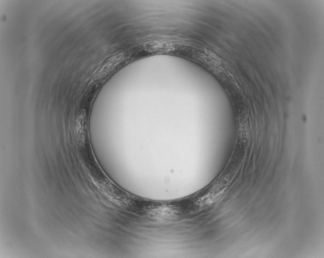 X0000059800460200511111605