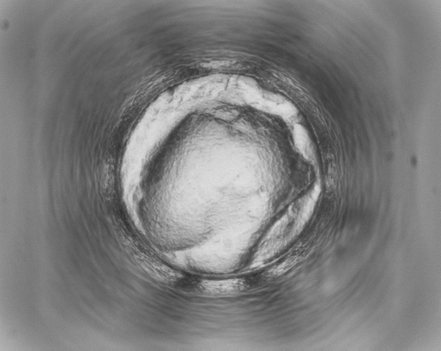 X0000059800461200511111605