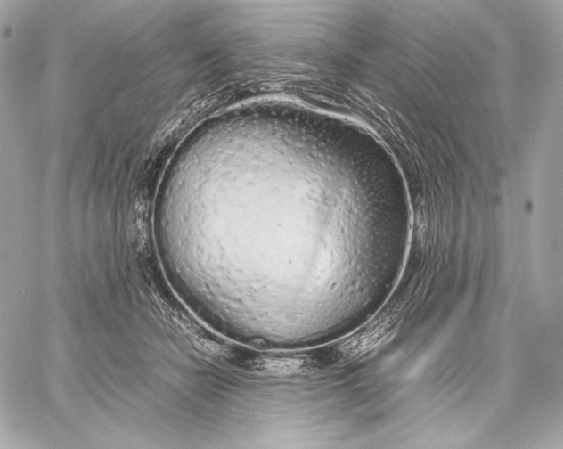 X0000059800462200511111605