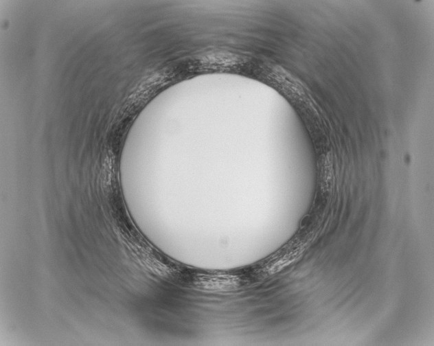 X0000059800463200511111605