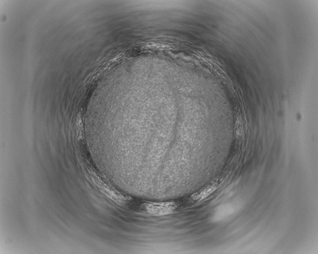 X0000059800465200511111605