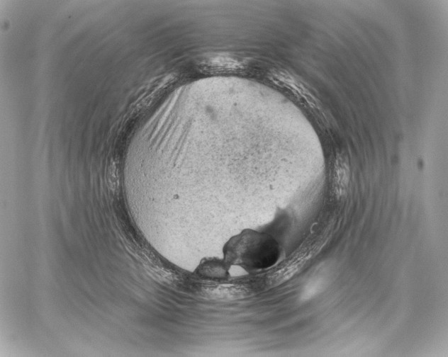 X0000059800467200511111605