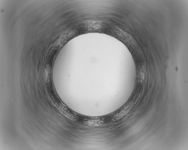 X0000059800468200511111605