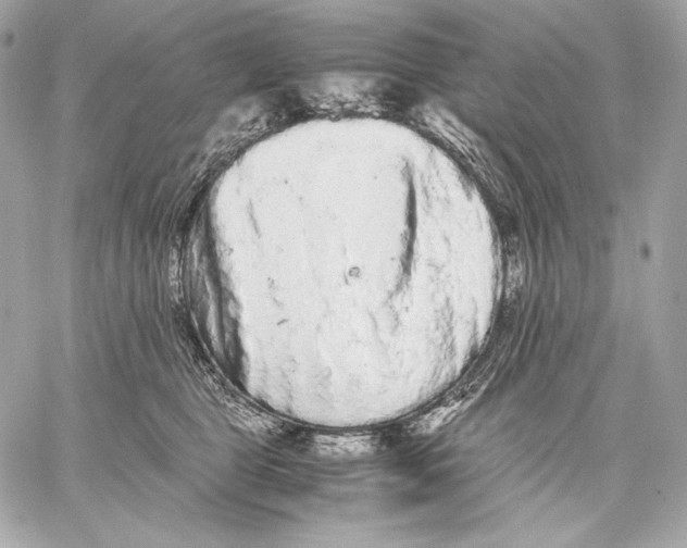 X0000059800469200511111605