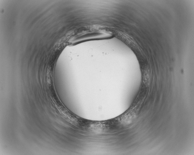 X0000059800470200511111605