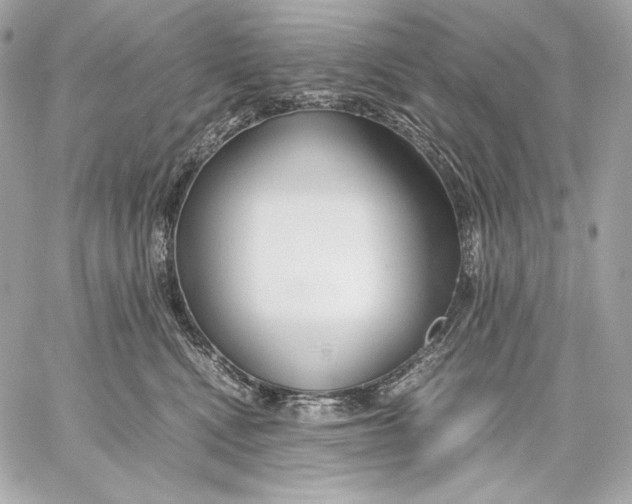 X0000059800472200511111606